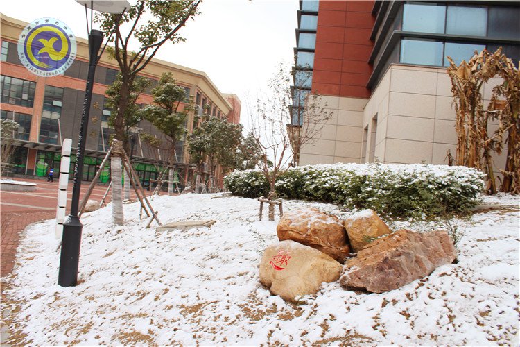 雪園“石頭記”，最美是氣質(zhì)(圖14)