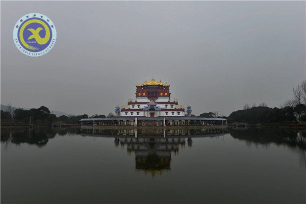 壯志少年遠(yuǎn)游學(xué) 櫻花微雨趁春光(圖1)