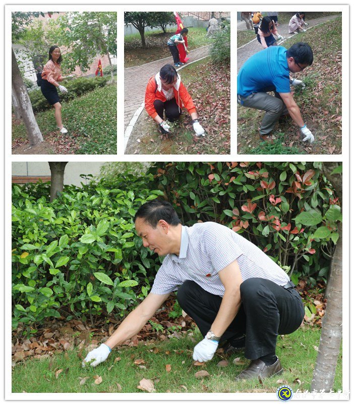 齊心除草整庭院  黨領(lǐng)我行再奮進(jìn)(圖2)