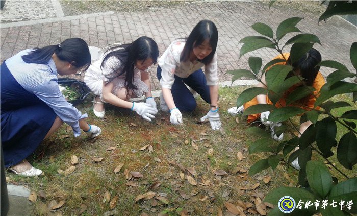 齊心除草整庭院  黨領(lǐng)我行再奮進(jìn)(圖4)