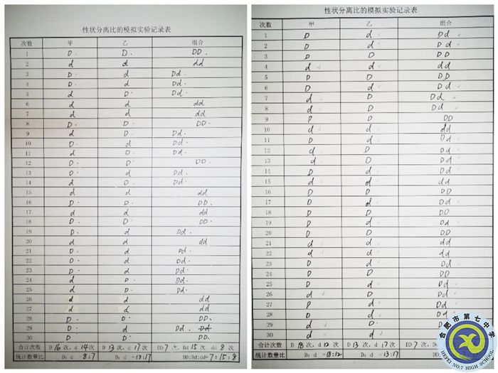 性狀分離比的模擬實(shí)驗(yàn)記錄表.jpg