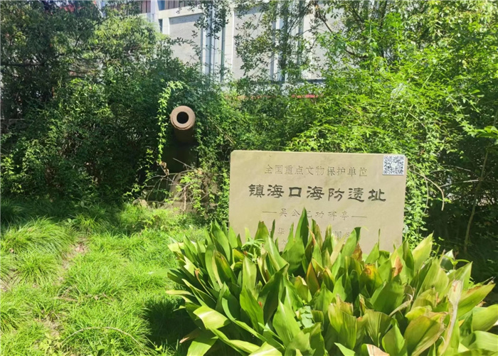 “主動融入長三角，合肥七中這樣做”之四：知己不足而后進(jìn)，望山遠(yuǎn)岐而前行(圖5)